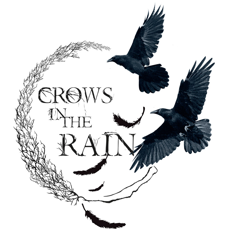 雨鸦 Crow in the Rain